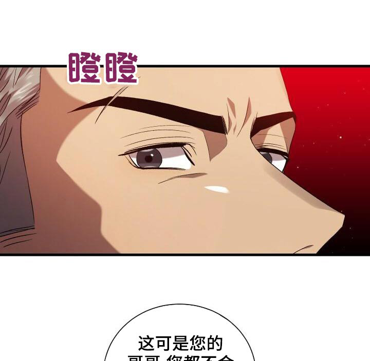 《循环世界》第84章我的哥哥 第1页