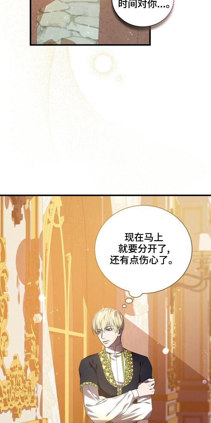 《循环世界》第84章我的哥哥 第25页