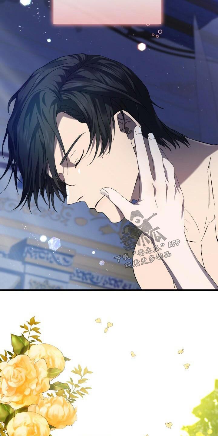 《循环世界》第94章幻想 第25页