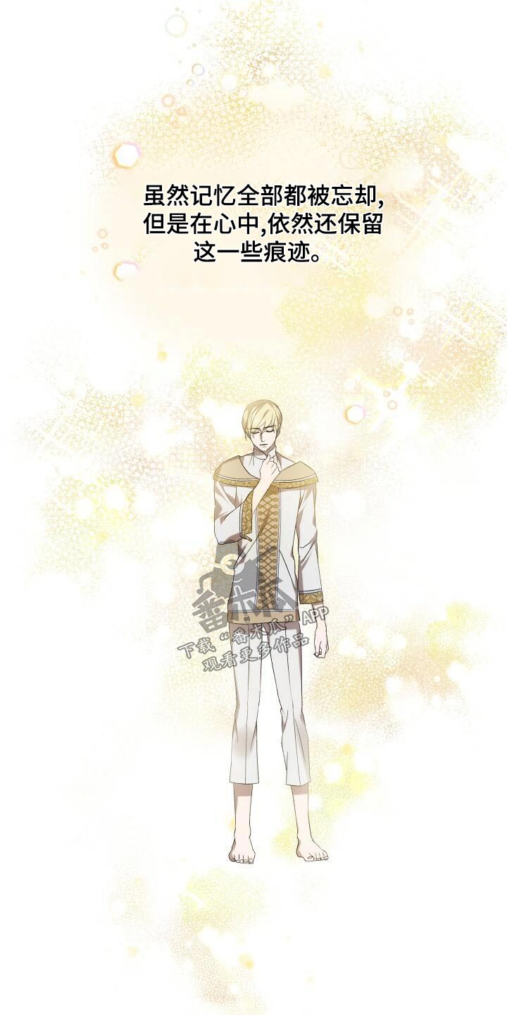 《循环世界》第102章痕迹 第20页