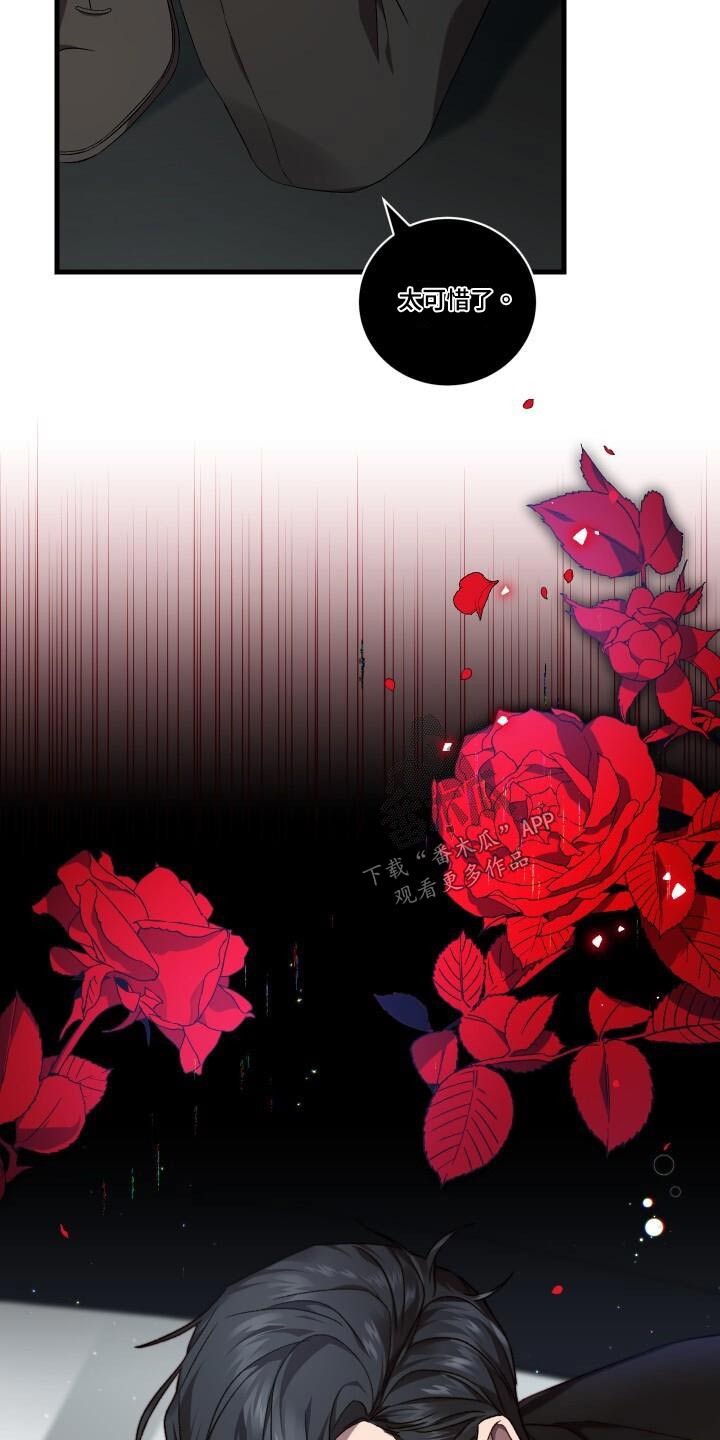 《循环世界》第116章化身 第21页