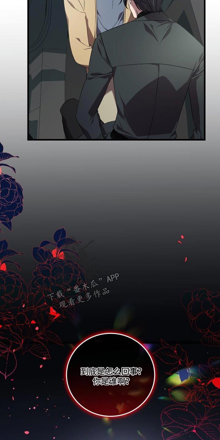 《循环世界》第117章制造 第2页