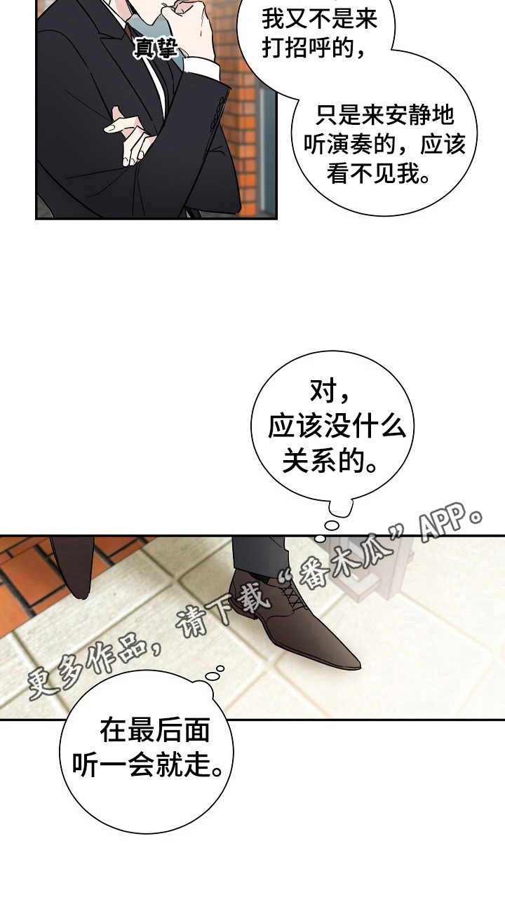 《只为你奏曲》第2章喜欢你的演奏 第10页