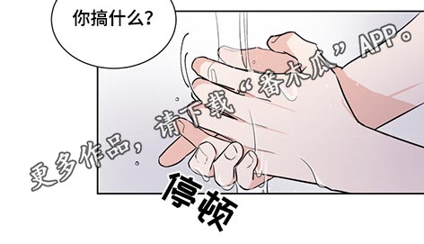 《只为你奏曲》第61章邀请 第10页