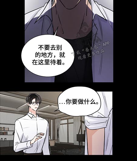 《只为你奏曲》第69章调解 第11页