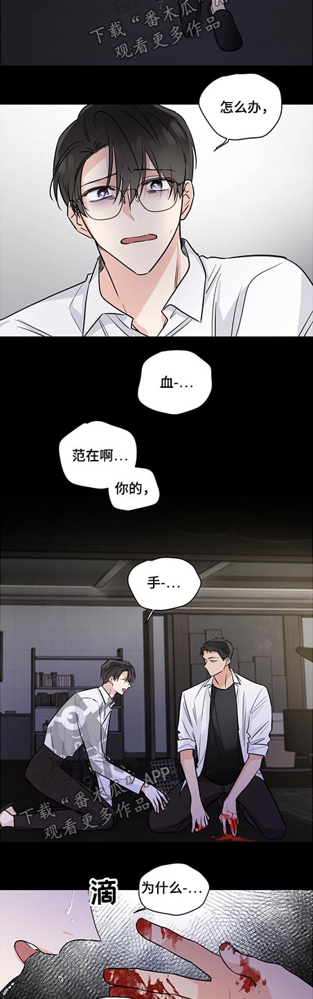 《只为你奏曲》第70章请相信 第3页