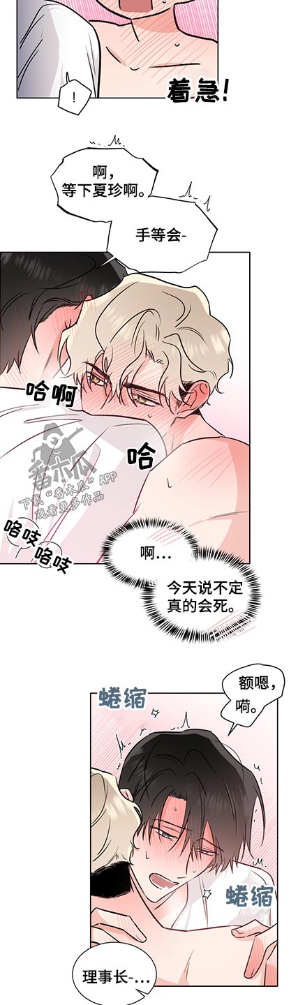 《只为你奏曲》第73章看着我 第3页