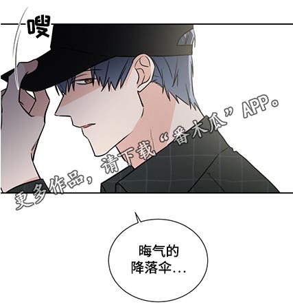 《只为你奏曲》第76章晦气 第11页