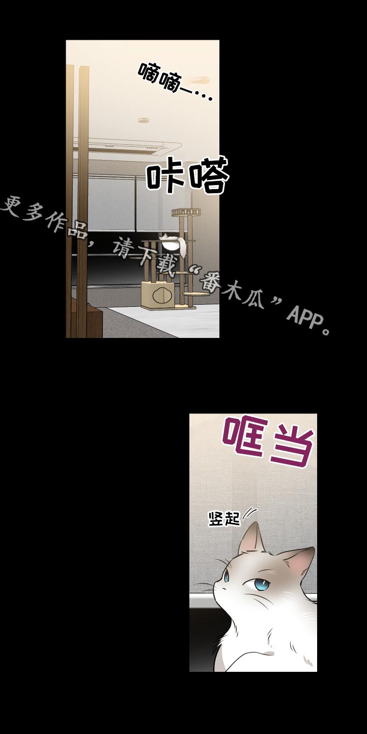《只为你奏曲》第92章名片 第1页