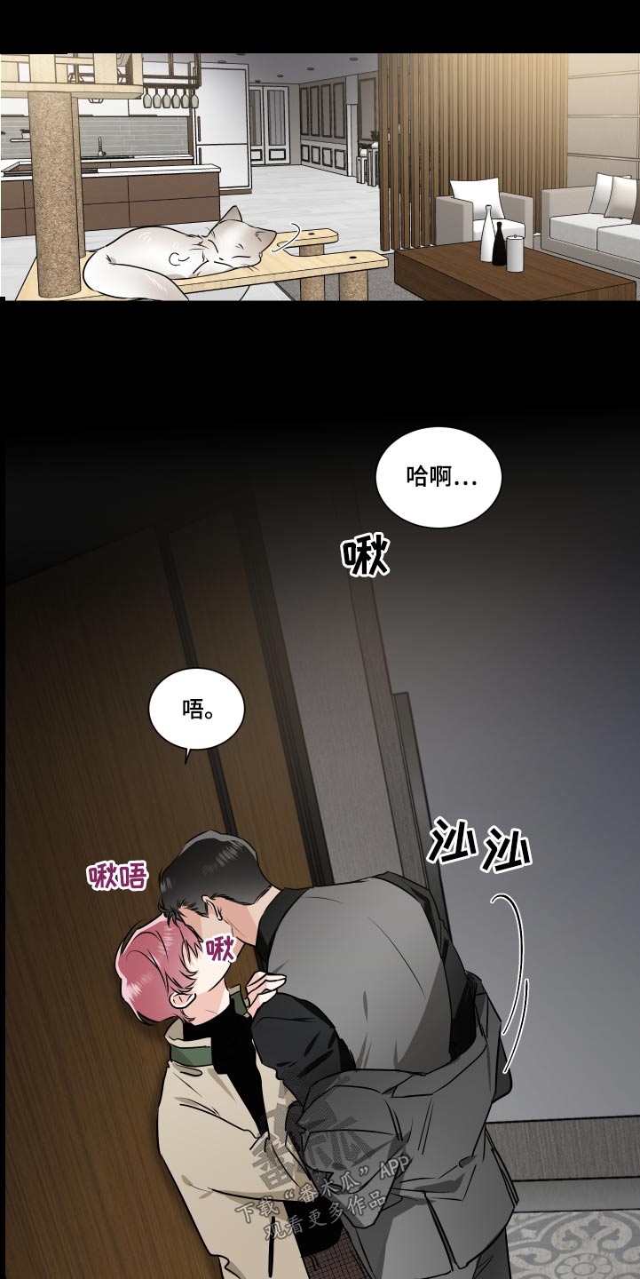 《只为你奏曲》第92章名片 第2页