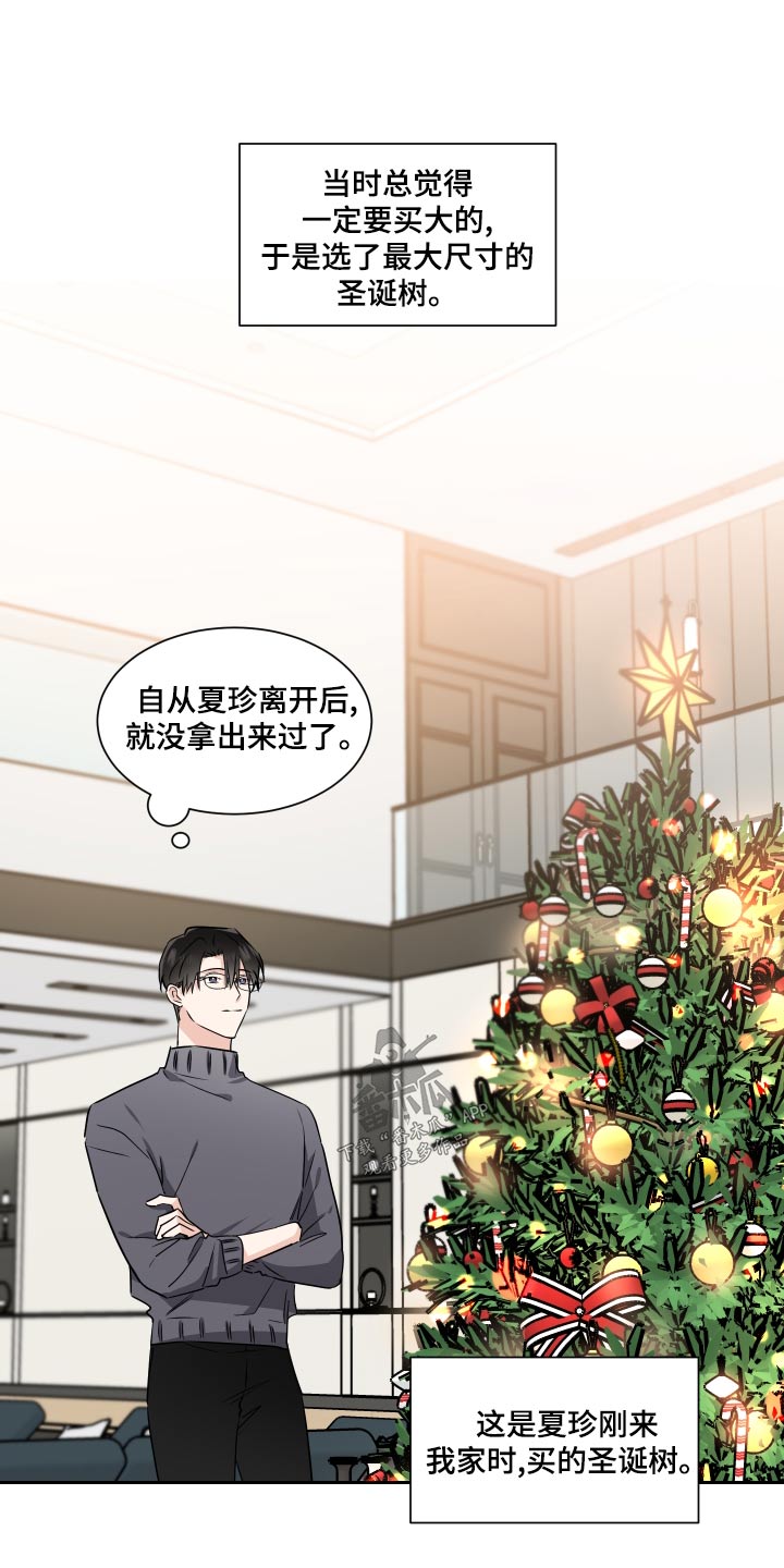 《只为你奏曲》第95章圣诞树 第14页
