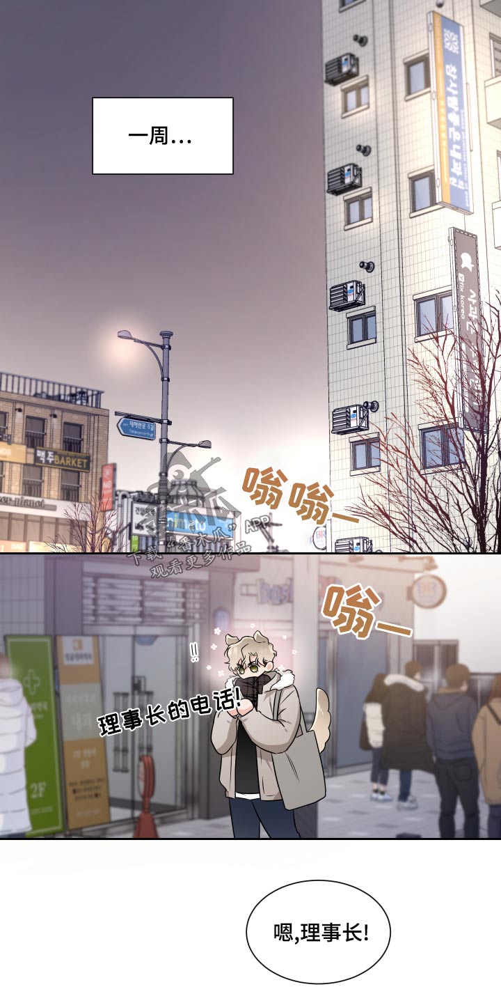《只为你奏曲》第94章第一个圣诞节 第3页