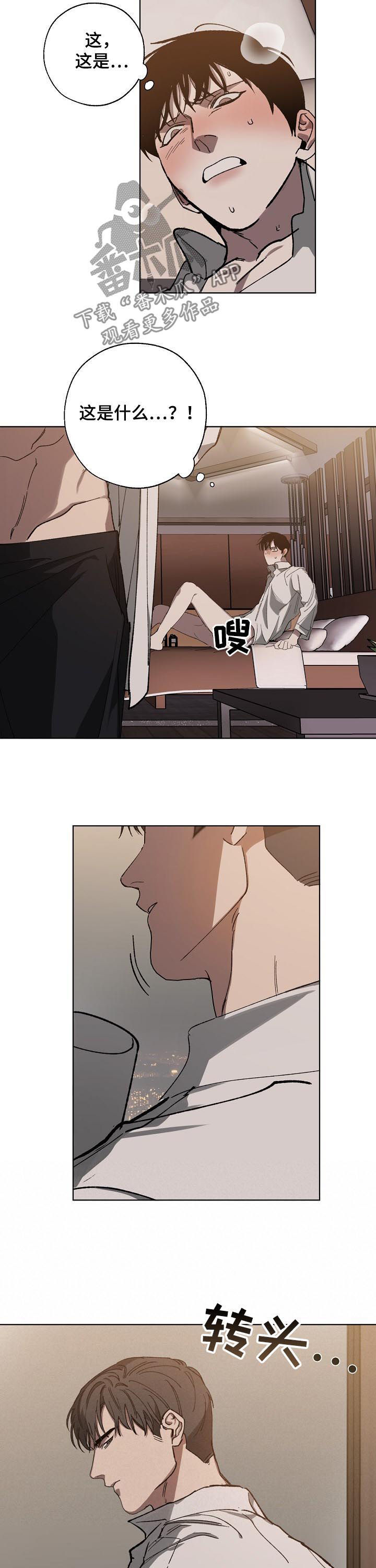 《危险交换》第40章被下药 第10页