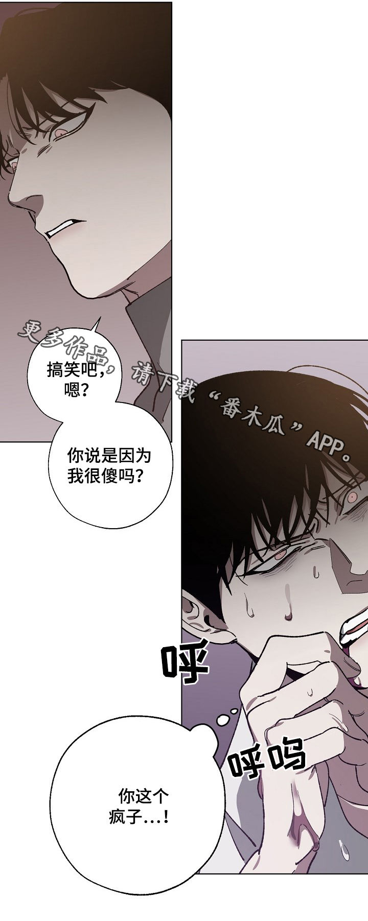 《危险交换》第52章傻 第11页