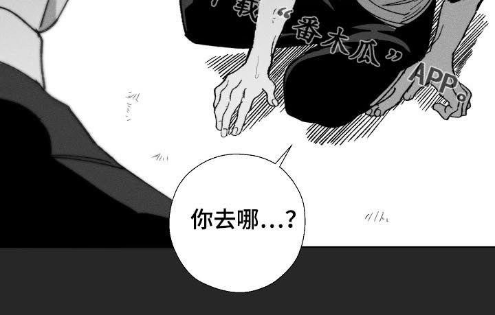 《危险交换》第53章回忆 第10页
