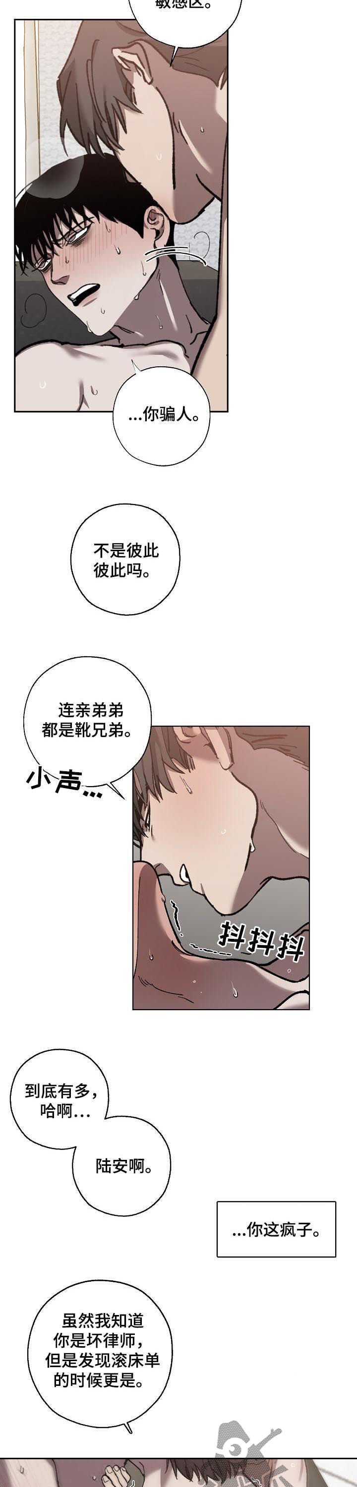 《危险交换》第58章坏律师 第3页