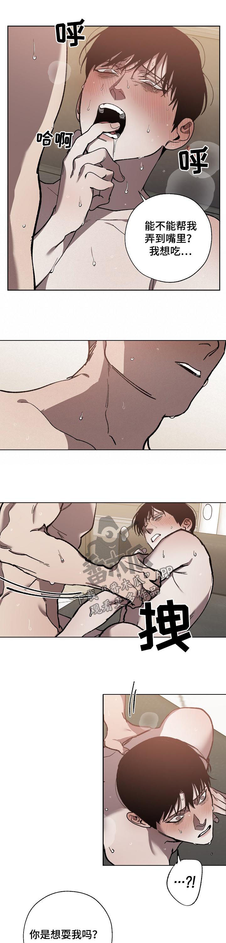 《危险交换》第58章坏律师 第5页