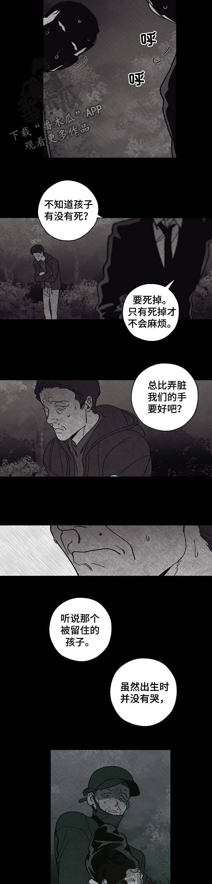 《危险交换》第85章身世 第6页