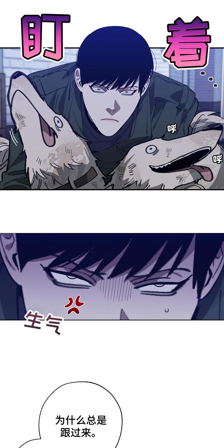 《危险交换》第108章金库的钥匙 第12页