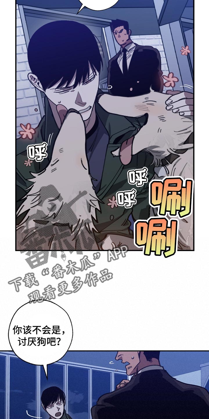 《危险交换》第108章金库的钥匙 第7页
