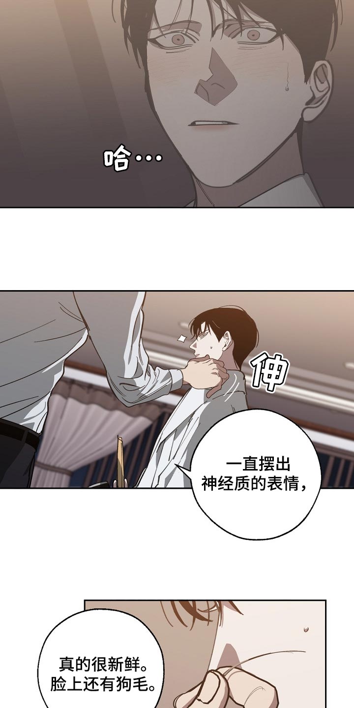 《危险交换》第109章优势 第17页