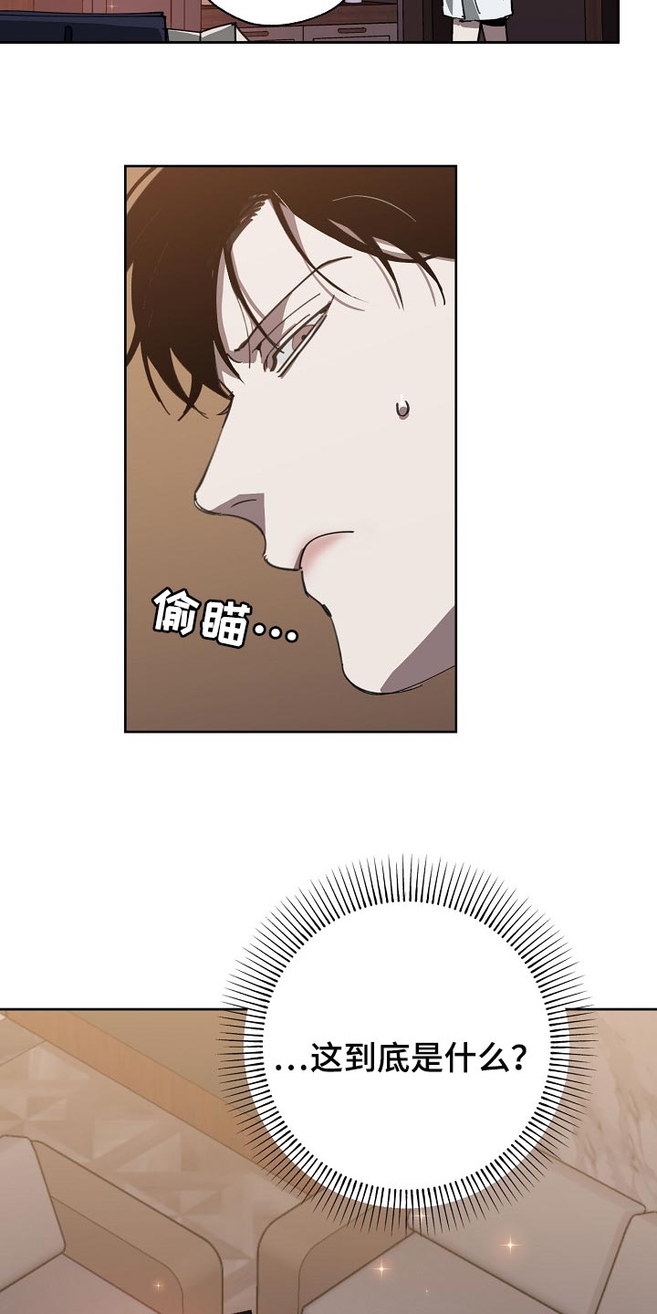 《危险交换》第109章优势 第3页