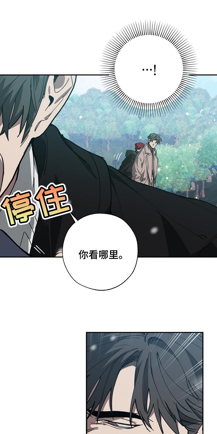 《危险交换》第113章我们在谈恋爱 第11页
