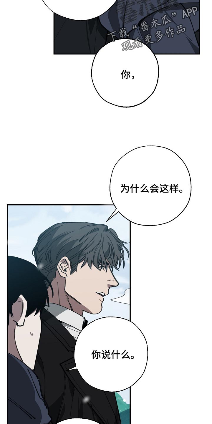 《危险交换》第113章我们在谈恋爱 第4页