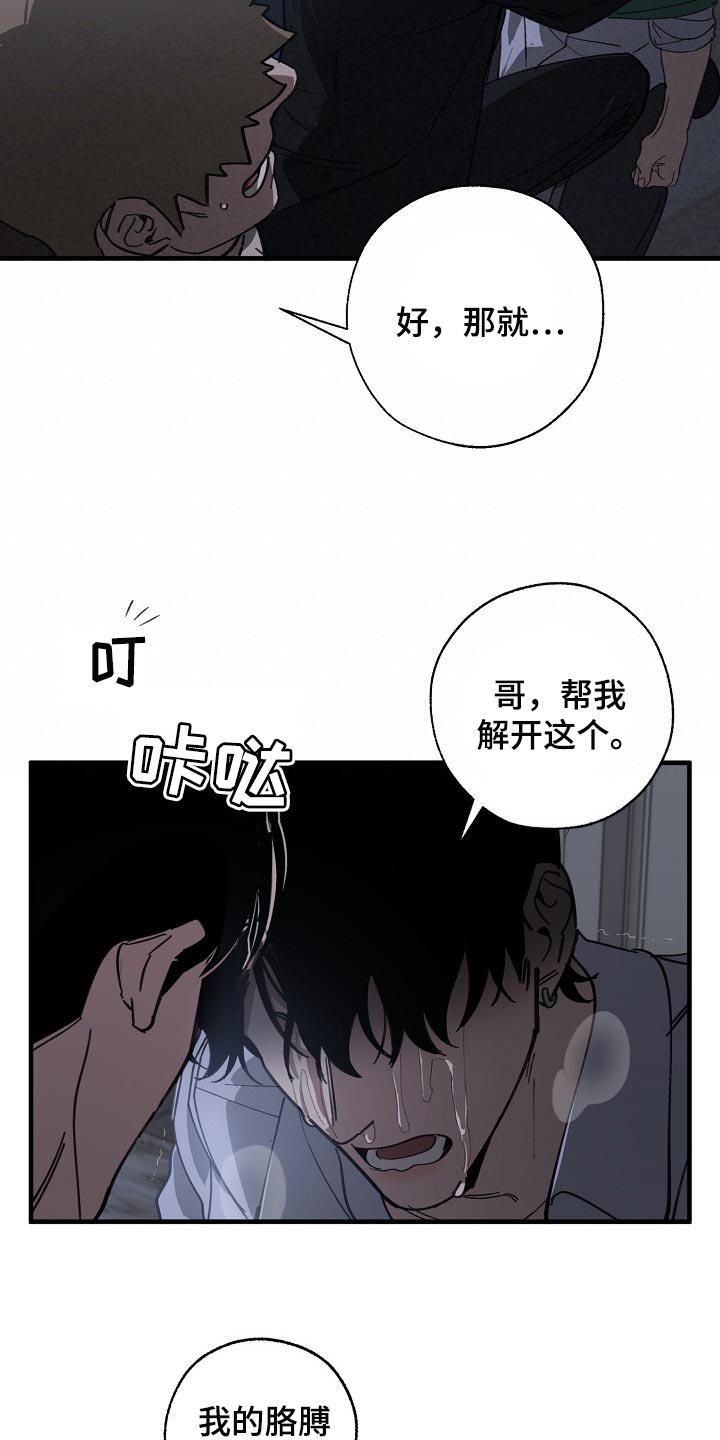 《危险交换》第118章跟我去国外生活 第11页