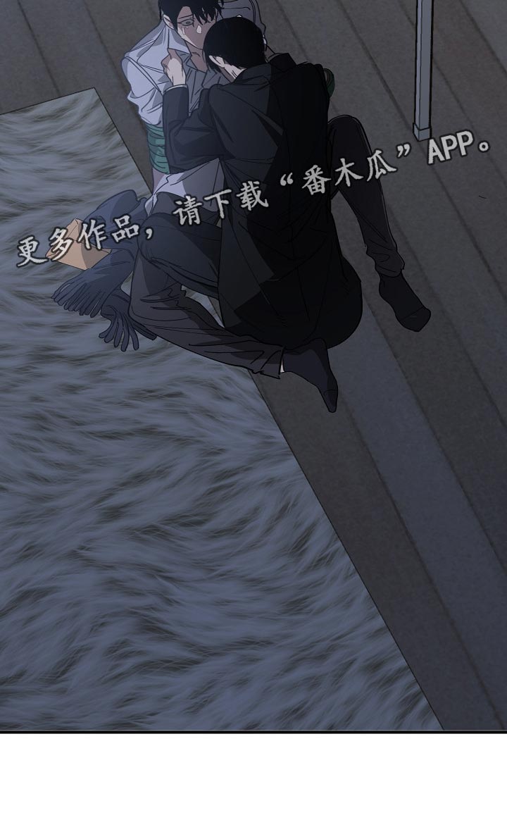 《危险交换》第118章跟我去国外生活 第20页