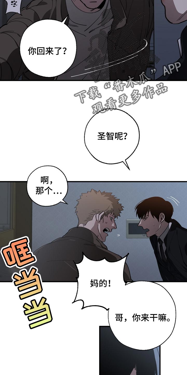 《危险交换》第118章跟我去国外生活 第3页