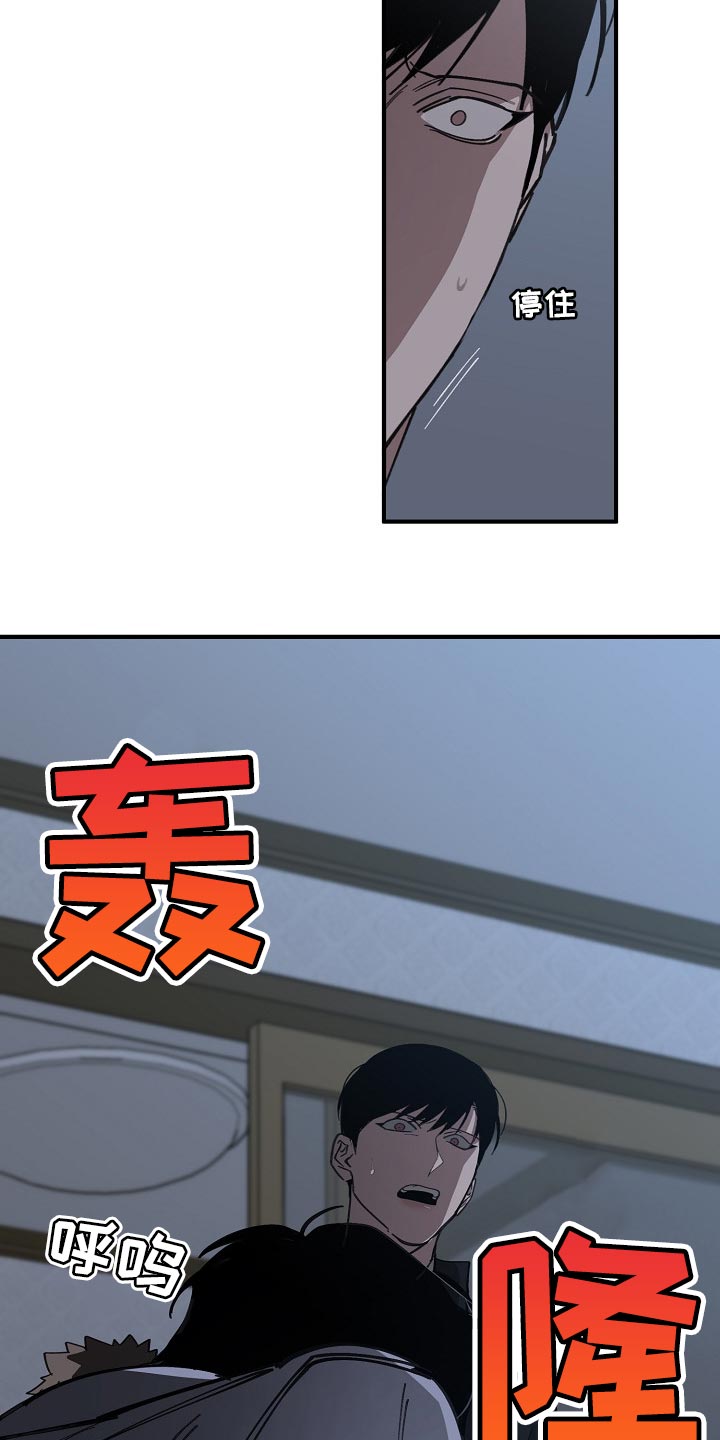 《危险交换》第118章跟我去国外生活 第4页