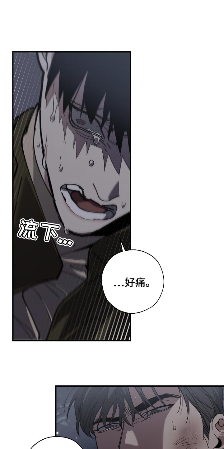 《危险交换》第124章只有我这么痛 第17页