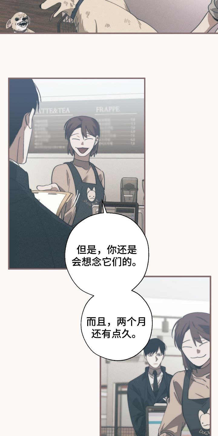 《危险交换》第127章干脆杀了我不就好了 第2页