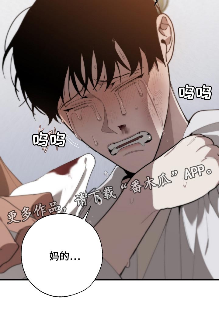 《危险交换》第128章从来都没撒过谎 第24页
