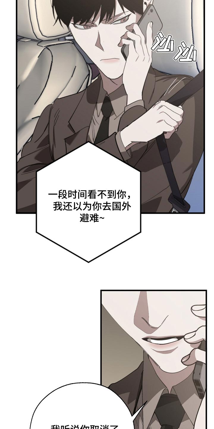 《危险交换》第134章走钢丝 第17页