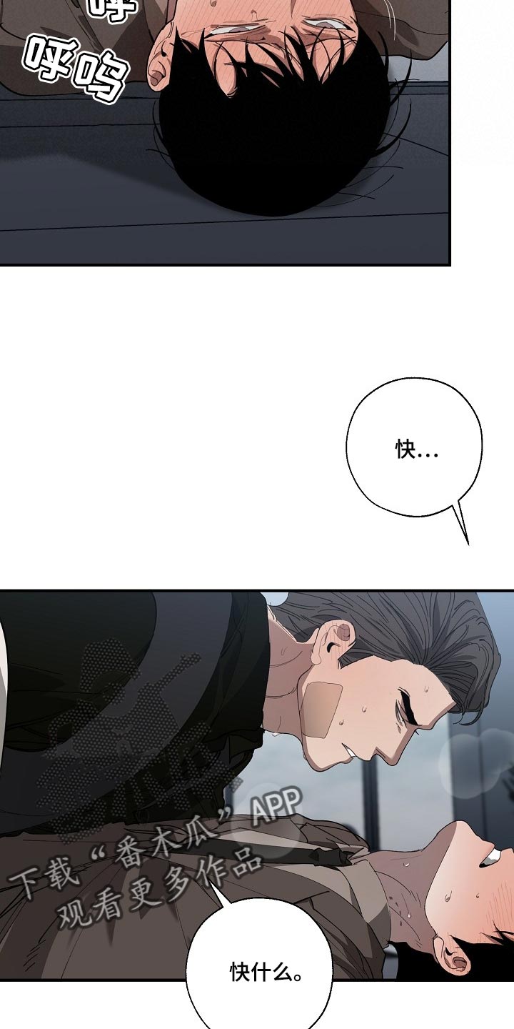 《危险交换》第140章跟你谈恋爱好难 第11页