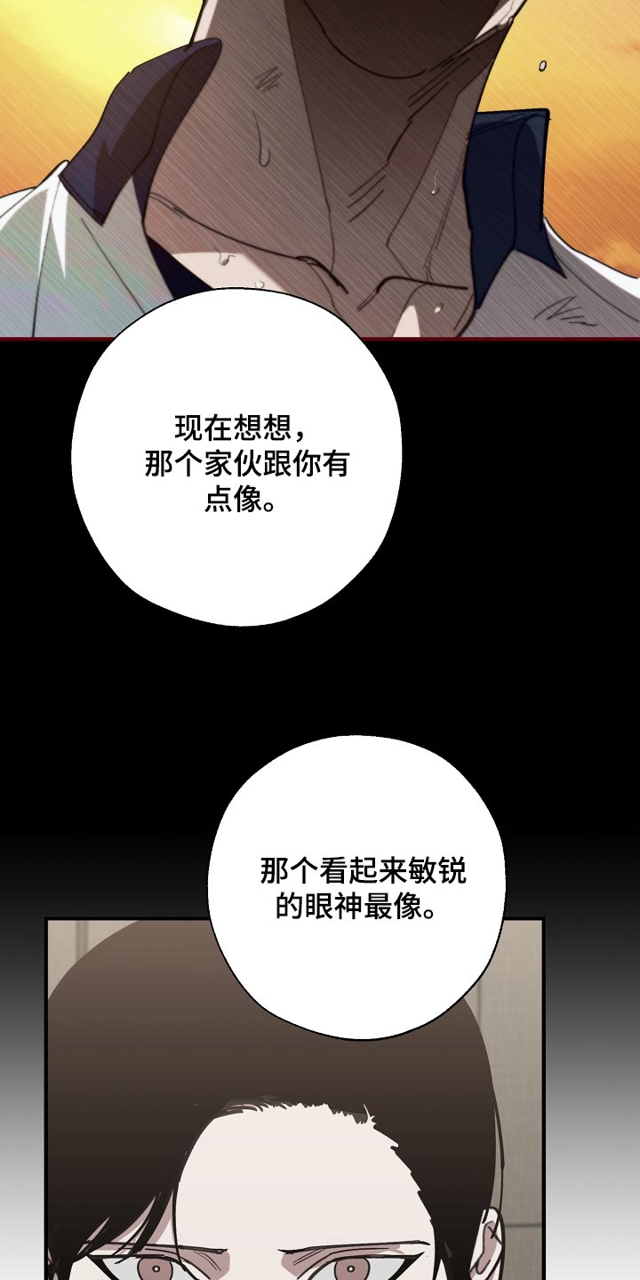 《危险交换》第146章对我淡一点 第12页