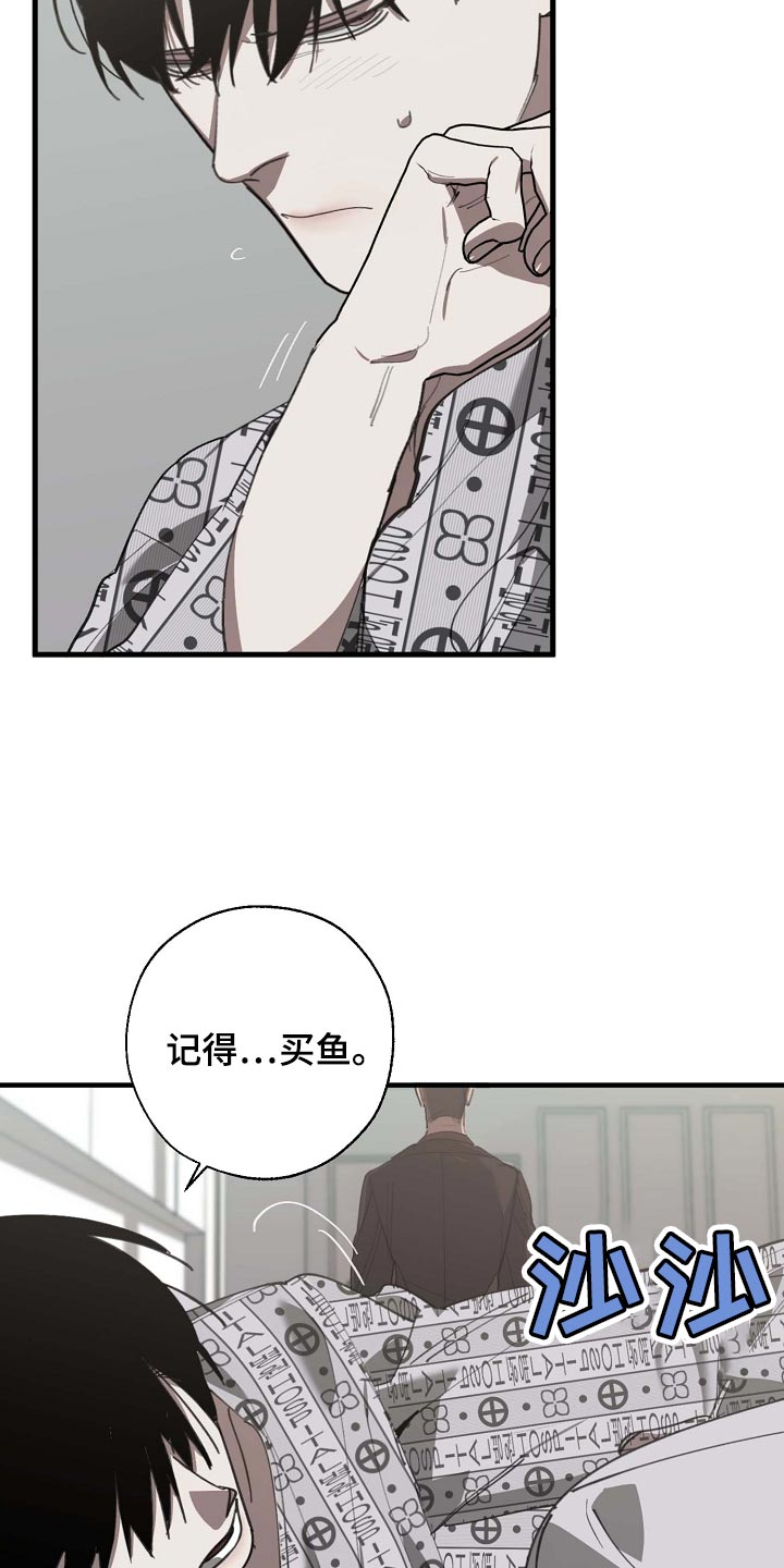 《危险交换》第154章记得买鱼 第19页