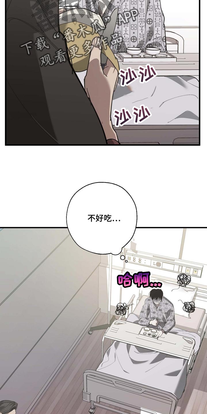 《危险交换》第154章记得买鱼 第2页