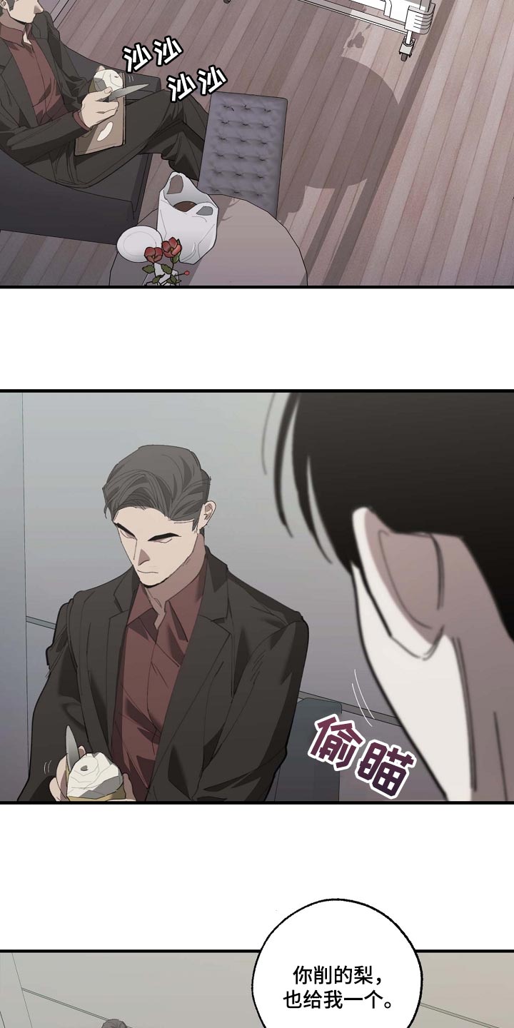 《危险交换》第154章记得买鱼 第3页