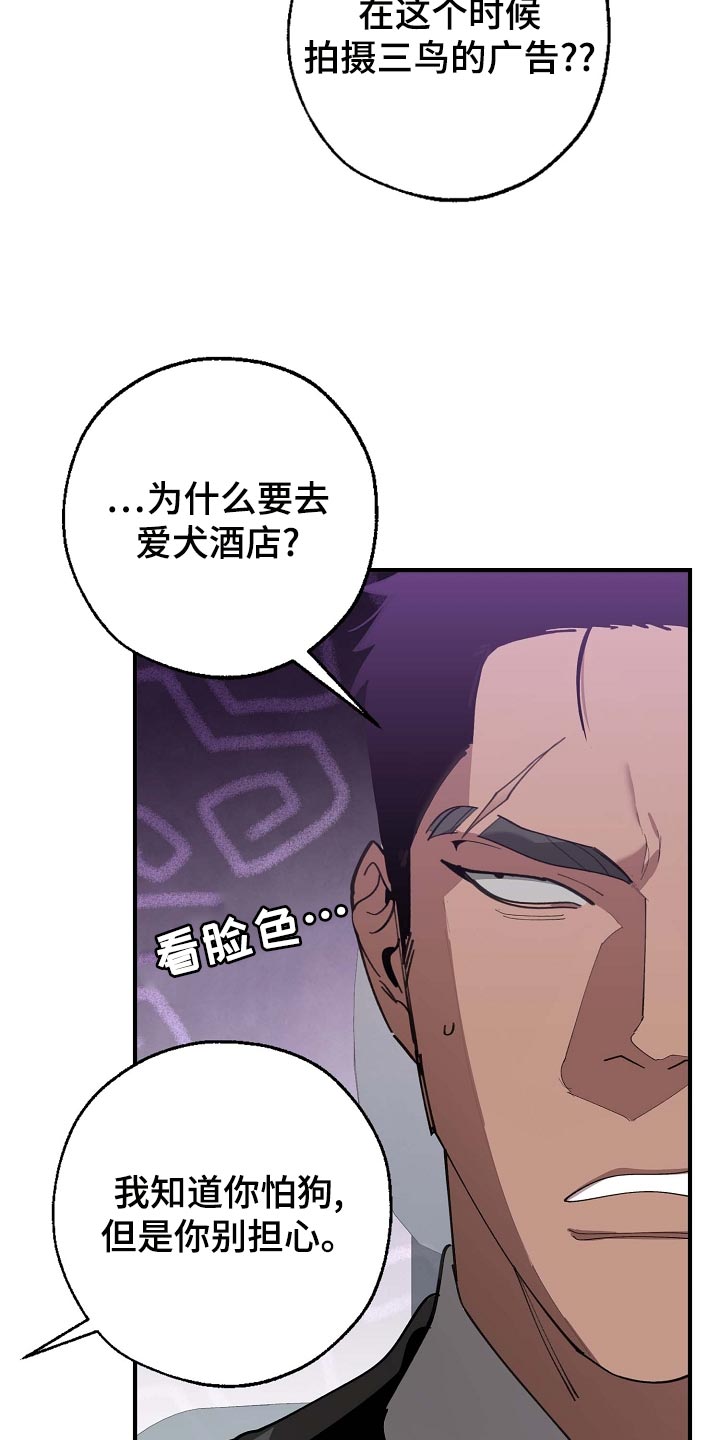 《危险交换》第160章拍广告 第13页