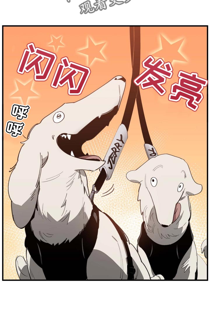 《危险交换》第160章拍广告 第16页