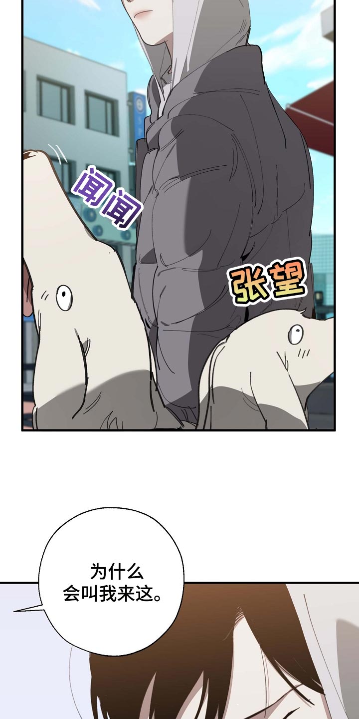 《危险交换》第160章拍广告 第18页