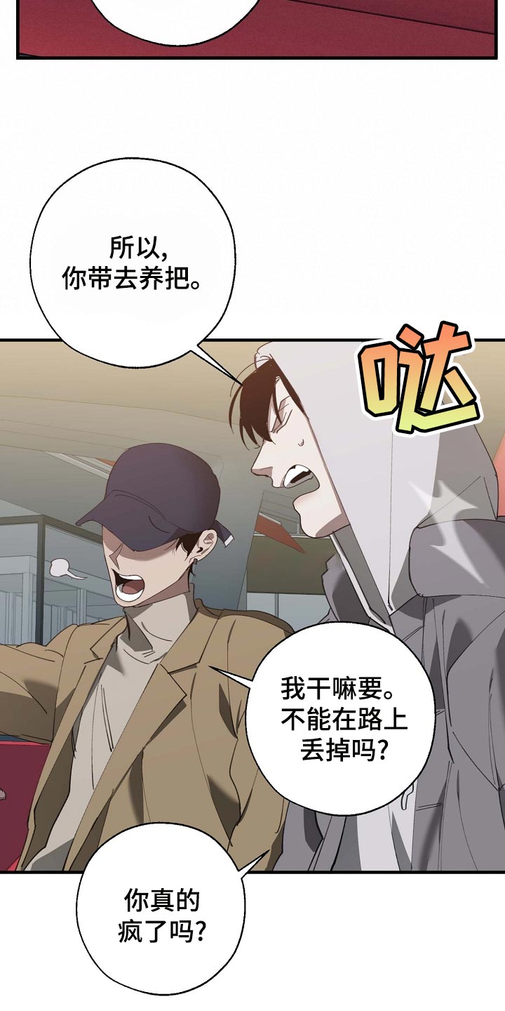 《危险交换》第160章拍广告 第23页