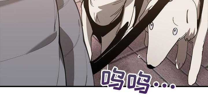 《危险交换》第162章固若金汤 第11页