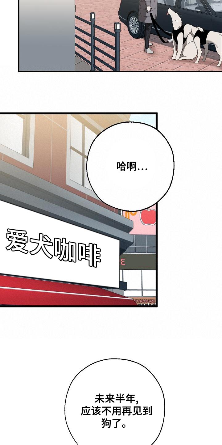 《危险交换》第162章固若金汤 第13页