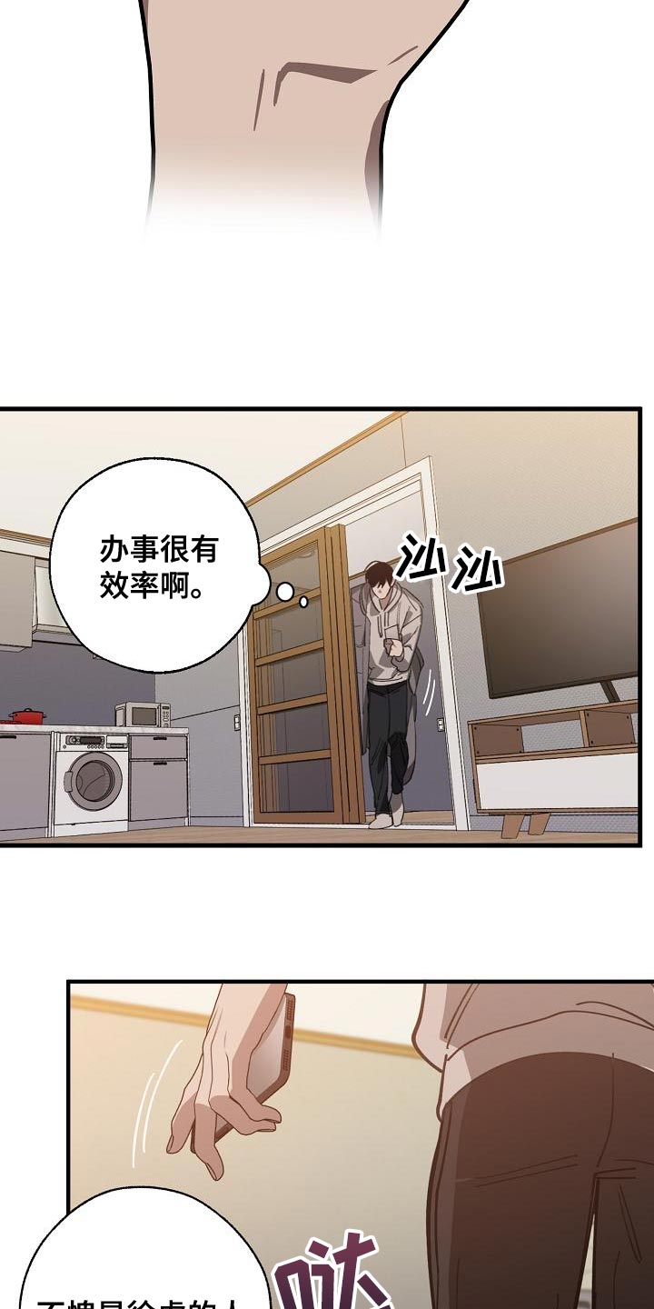 《危险交换》第163章被老虎驯服了 第10页