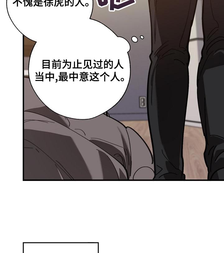 《危险交换》第163章被老虎驯服了 第11页