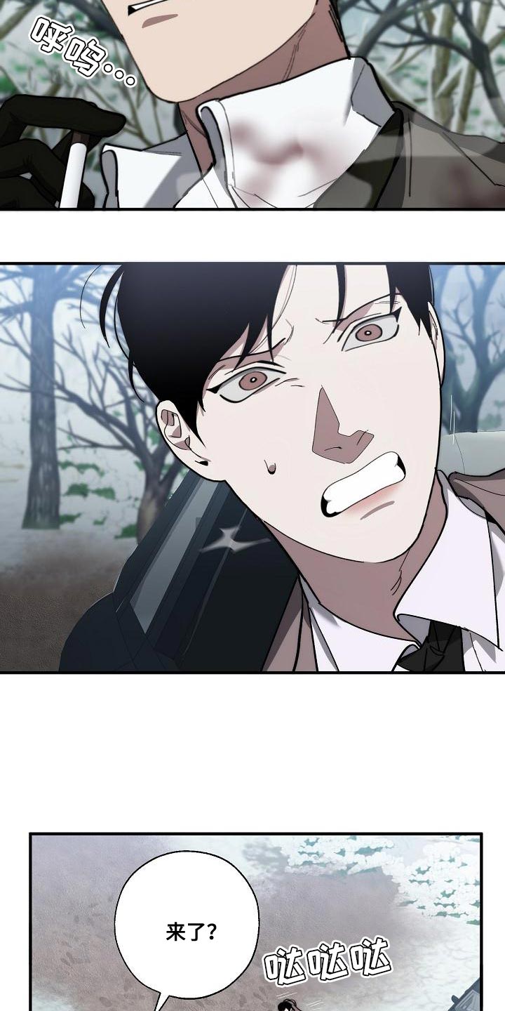 《危险交换》第180章我没有受伤 第11页